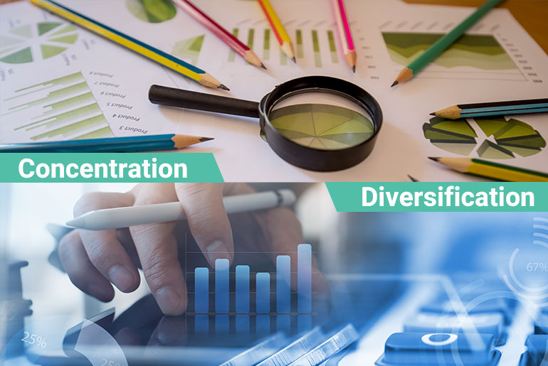 diversification vs concentration